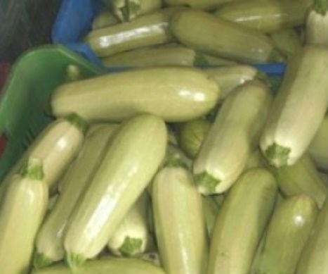 dovlecei-contaminati-cu-reziduuri-de-pesticide02_59681