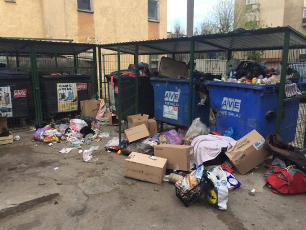 ecodes-spune-ca-supravegheaza-colectarea-gunoiului-asa-fel-incat-brantner-sa-faca-performanta0_54942