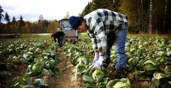 fermele-mici-pot-cere-15000-euro-pentru-dotari05_54808