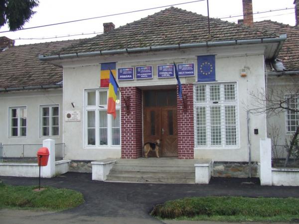 functionarii-din-primariile-pericei-si-romanasi-au-fost-acuzati-de-curtea-de-conturi-de-abuz-in-serviciu-cu-prejudiciu-de-peste-240000-de-lei18_58527