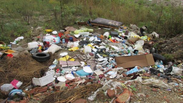 garda-de-mediu-obliga-voluntarii-care-au-ecologizat-gradina-zmeilor-sa-faca-curatenie-si-in-chechis03_57055