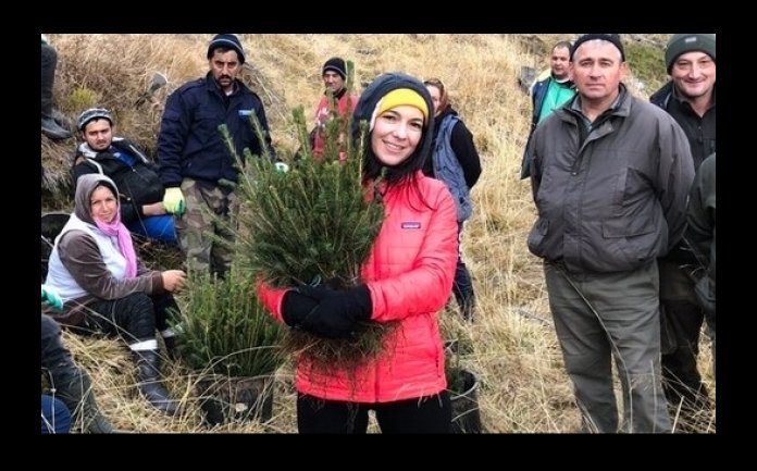 Gest nobil: O zalauanca emigrata in Anglia a plantat 15.000 de copaci in Muntii Fagaras