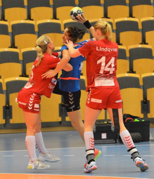 hc-zalau-pierdut-in-suedia-dar-termina-grupa-pe-locul-20_58746