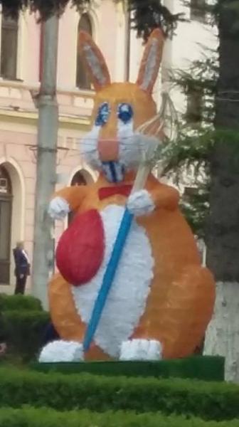 iepuroii-gabrielei-firea-au-trecut-carpatii1_55070