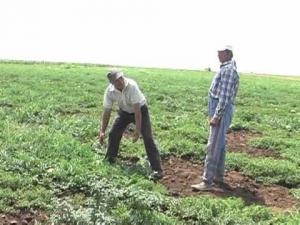 Preturile produselor agricole pentru 2014 au fost stabilite de Consiliul Judetean Salaj