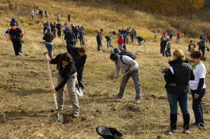 Voluntarii campaniei ”Plantam fapte bune in Romania” vor planta si anul acesta pomi in Salaj