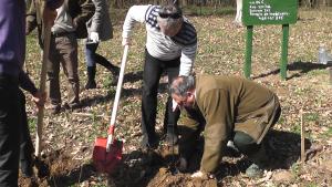 Putin se impadureste in Salaj, doar 76 de hectare