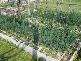 imagine-articol0_39758