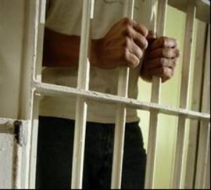 imagine-articol0_39771