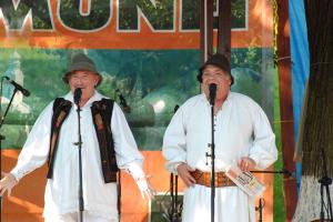 imagine-articol0_39812