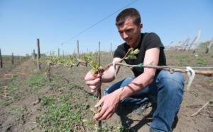 imagine-articol0_39816