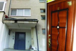 imagine-articol0_39851