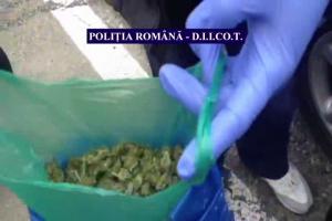 imagine-articol0_39943