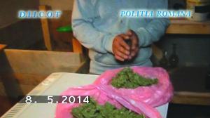 imagine-articol0_39962