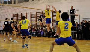 imagine-articol0_39976