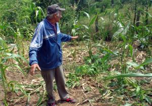 imagine-articol0_40023