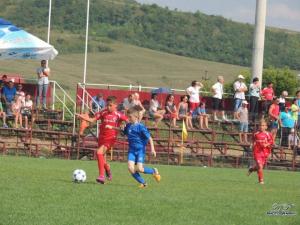 imagine-articol0_40077