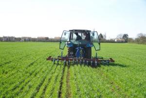 imagine-articol0_40089