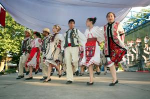 imagine-articol0_40098