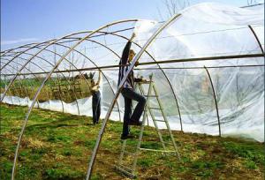 imagine-articol0_40113