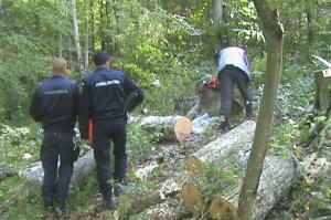 imagine-articol0_40119