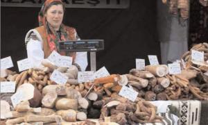 imagine-articol0_40137