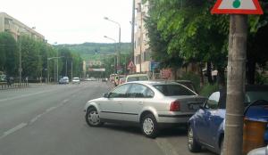 imagine-articol0_40220