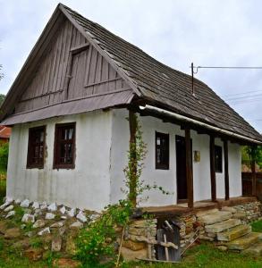 imagine-articol0_40291