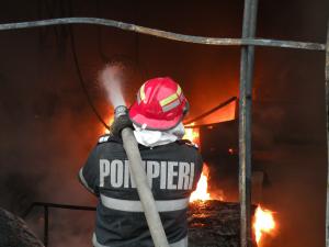 imagine-articol0_40316