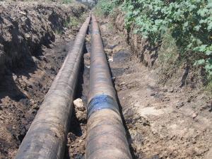 imagine-articol0_40320