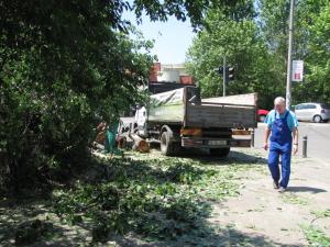 imagine-articol0_40356