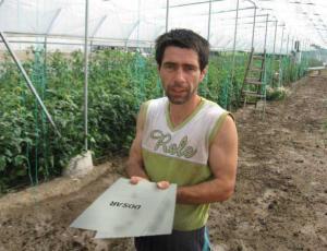 imagine-articol0_40357