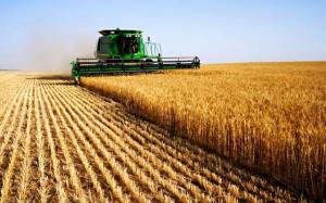 imagine-articol0_40376