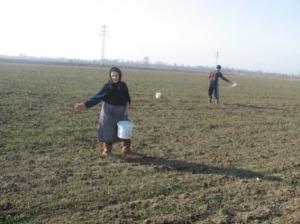 imagine-articol0_40397