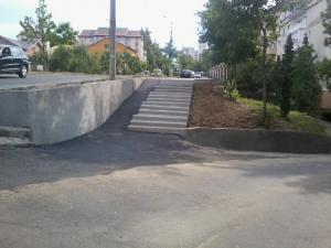 imagine-articol0_40408