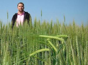 imagine-articol0_40416