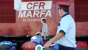 imagine-articol0_40455