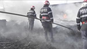 imagine-articol0_40479