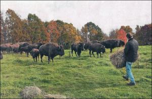 imagine-articol0_40493