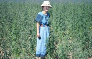 imagine-articol0_40514