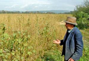 imagine-articol0_40516