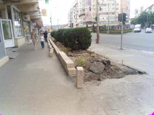 imagine-articol0_40521