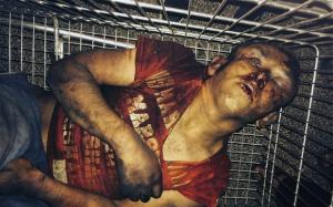 imagine-articol0_40534