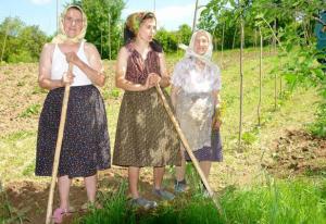 imagine-articol0_40537