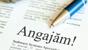 imagine-articol0_40545