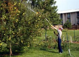 imagine-articol0_40546