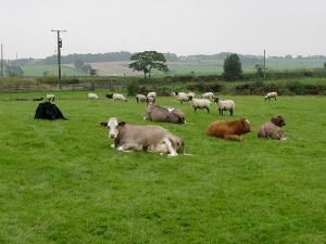 imagine-articol0_40640