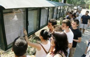 imagine-articol0_40674