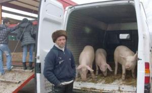 imagine-articol0_40683