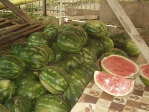 imagine-articol0_40741